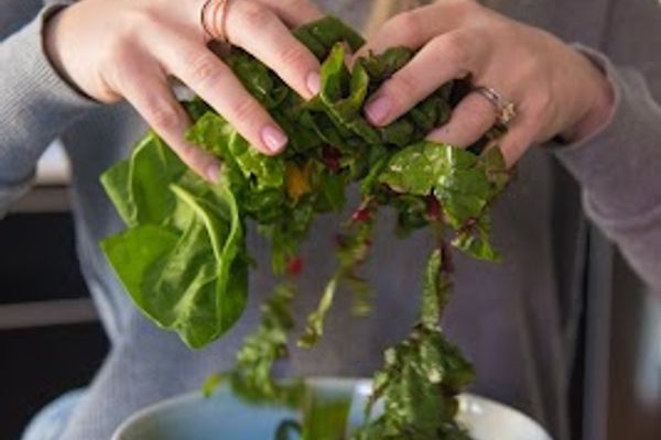 Forbes Wellness, LLC in Oklahoma City, OK