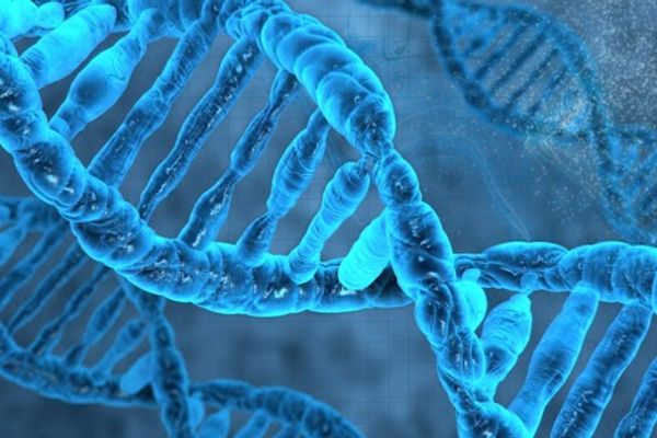 Genesis Metabolics in Union, NJ