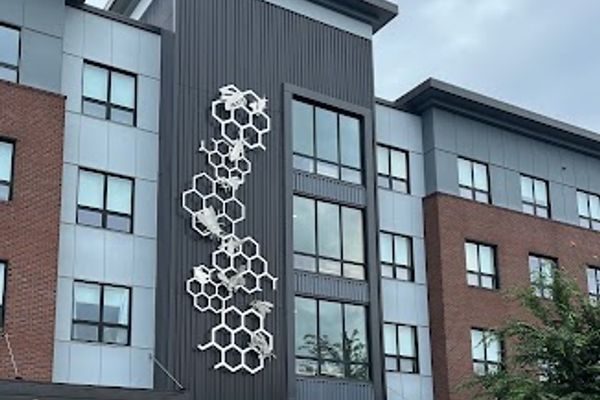 Healthy Habits Vermont Weight Loss Strategies in South Burlington, VT