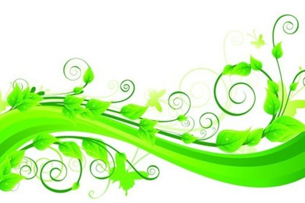 Ideal Weight Loss Solutions in Bismarck, ND