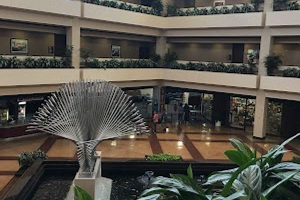 Med*Thin in Dallas, TX