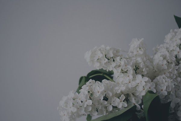 The Hormone Center in Carnegie, PA