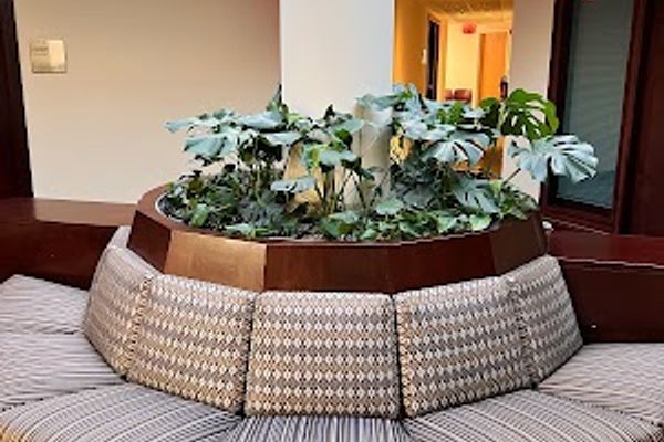 Way Less Weight Loss Clinic in Oak Brook, IL