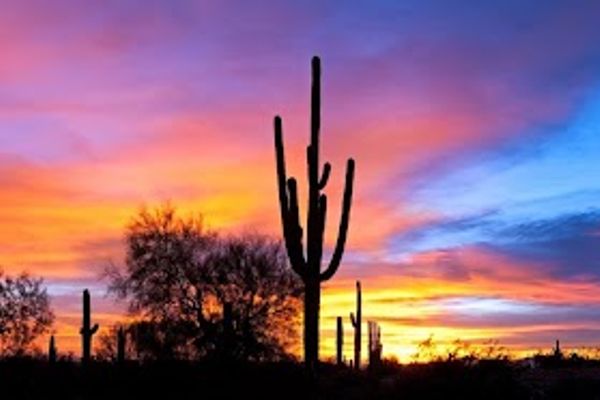 Weight Solutions Clinic