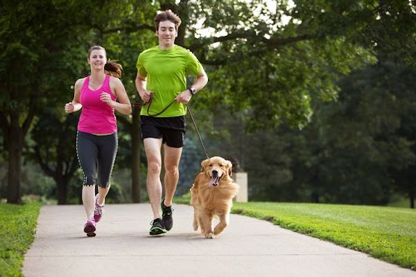 Zenith Health Institute in Sun City West, AZ